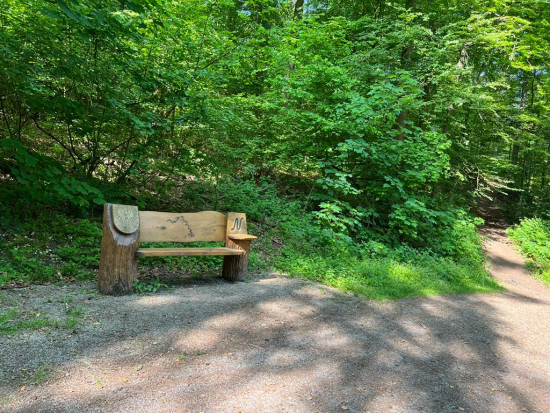 Neckarsteig, ab Mosbach
26. Juni 2023